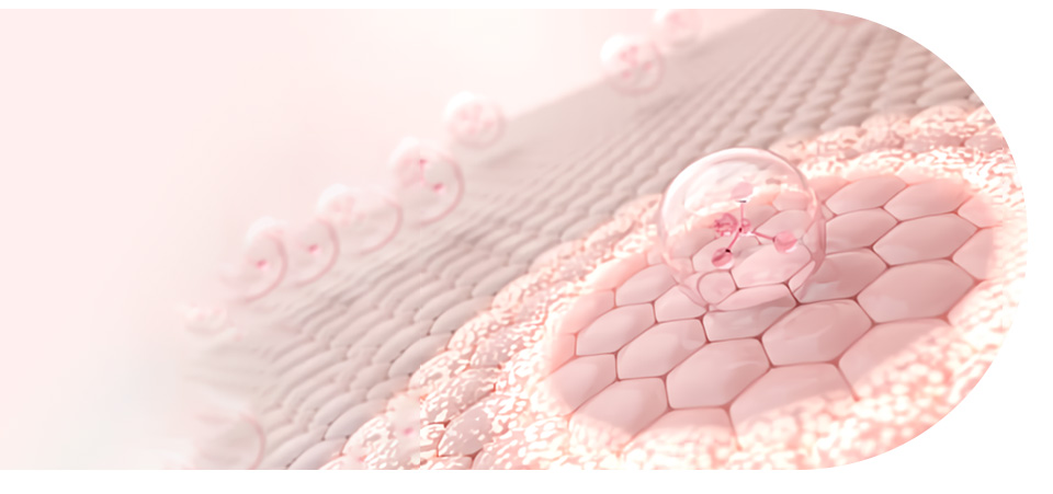 Skin regeneration cell image