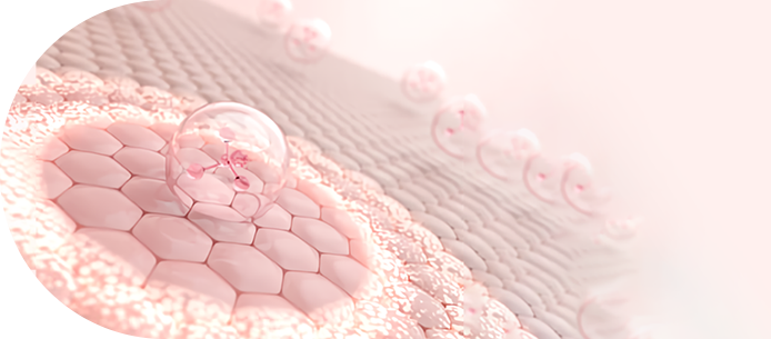 Skin regeneration cell image